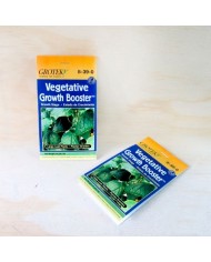 GROW BOOSTER 20 G - GROTEK