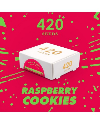 RASPBERRY COOKIES (3U) - 420 SEEDS