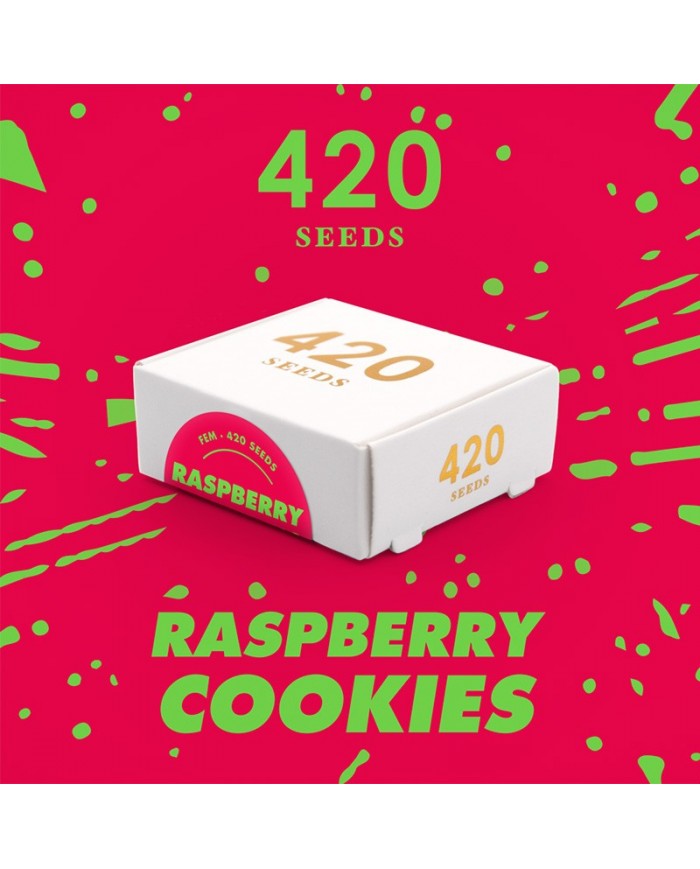RASPBERRY COOKIES (3U) - 420 SEEDS