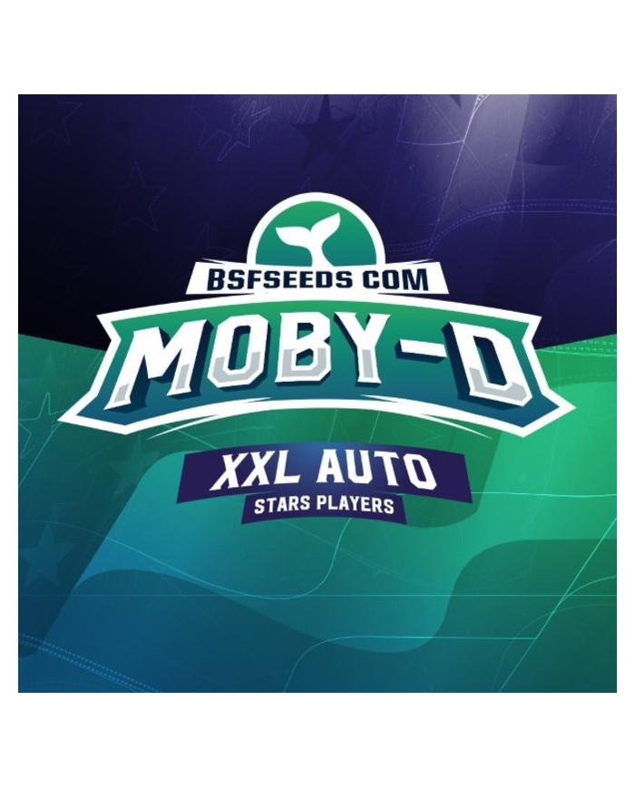 MOBY-D XXL AUTO (2U) - BSF SEEDS