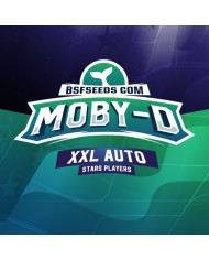 MOBY-D XXL AUTO (2U) - BSF SEEDS