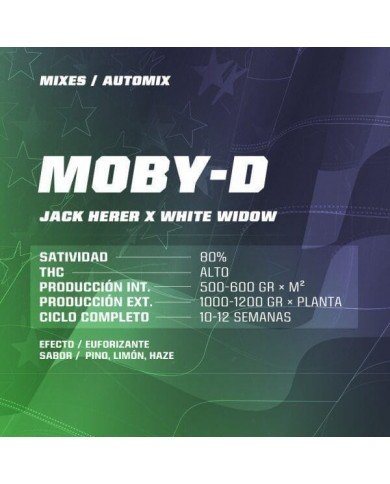 DREAM TEAM FEMINIZED (12U) - BSF SEEDS