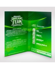 DREAM TEAM FEMINIZED (12U) - BSF SEEDS