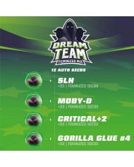 DREAM TEAM FEMINIZED (12U) - BSF SEEDS