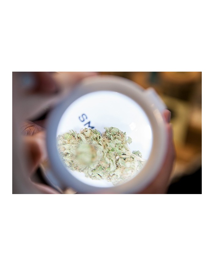 JETPACK - SMOKUS FOCUS