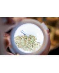 JETPACK - SMOKUS FOCUS