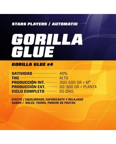 GORILLA GLUE AUTO (12U) - BSF SEEDS