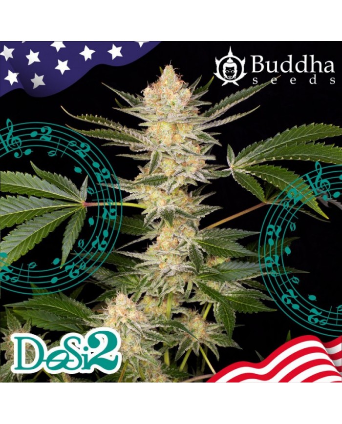 DOSI2 (3U) - BUDDHA SEEDS