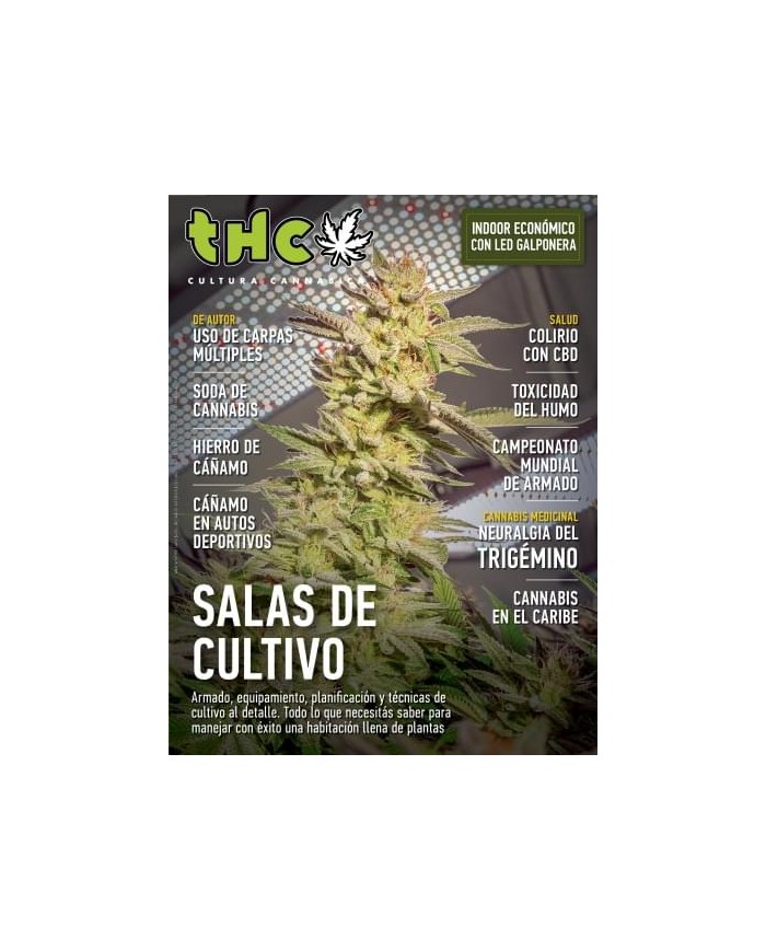 REVISTA THC - EDICIONES VARIADAS