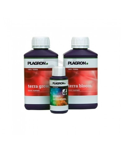 EASY PACK TERRA - 550 mL - PLAGRON