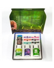 PACK MICOTRUE - MICO TRUE