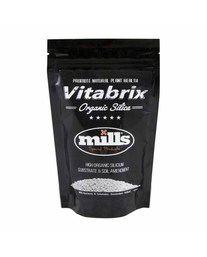 VITABRIX SILICIO - 300 G - MILLS