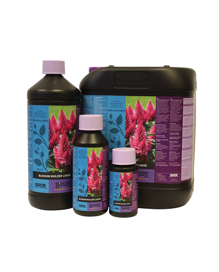 BLOSSOM BUILDER 100ML - B'CUZZ ATAMI
