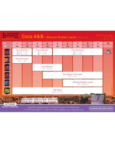 BLOSSOM BUILDER 100ML - B'CUZZ ATAMI