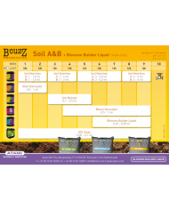 BLOSSOM BUILDER 100ML - B'CUZZ ATAMI