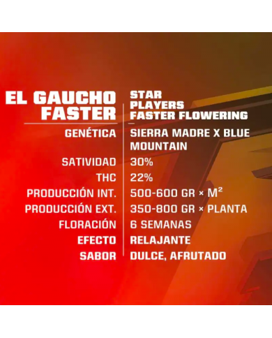 EL GAUCHO FASTER (4U) - BSF SEEDS