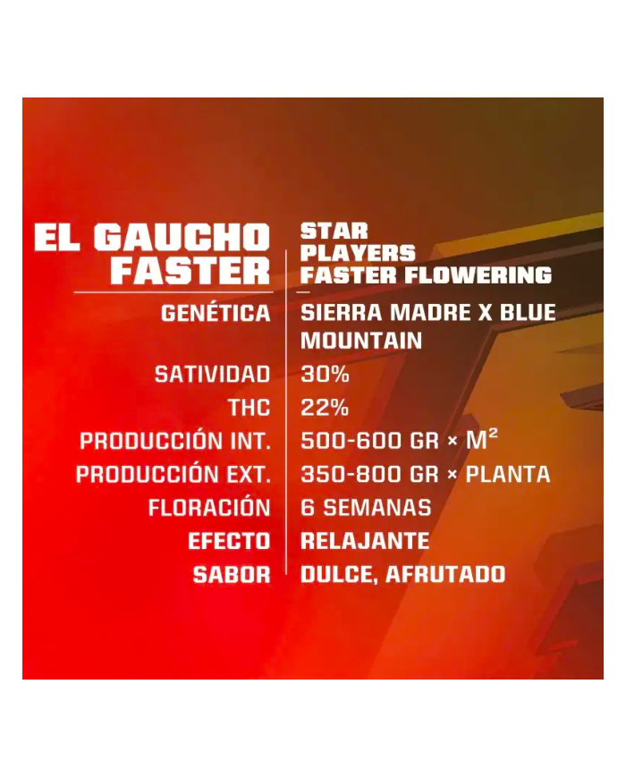 EL GAUCHO FASTER (4U) - BSF SEEDS