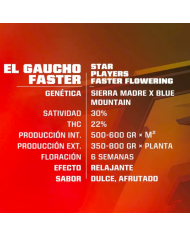 EL GAUCHO FASTER (4U) - BSF SEEDS