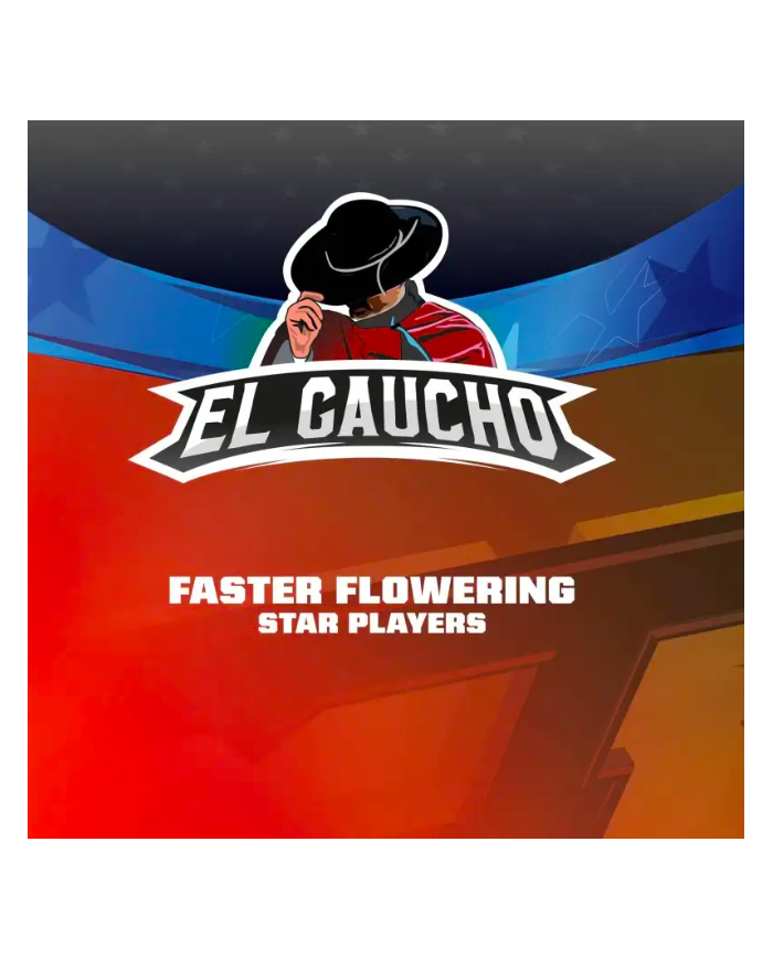 EL GAUCHO FASTER (4U) - BSF SEEDS
