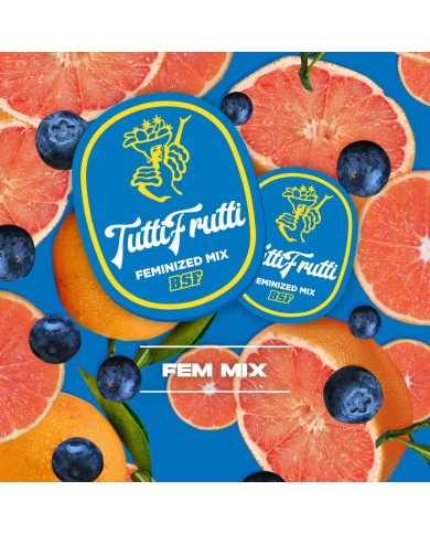 TUTTI FRUTTI MIX FEMINIZADAS (12U) - BSF SEEDS TUTTI FRUTTI MIX FEMINIZADAS (12U) - BSF SEEDS