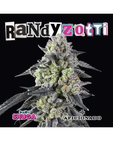 RANDYZOTTI (10U) - AFICIONADO x SHUGA RANDYZOTTI (10U) - AFICIONADO x SHUGA