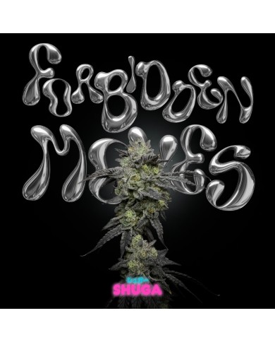 FORBIDDEN MOVES (6U) - SHUGA SEEDS