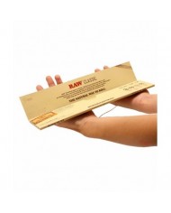 BANDEJA NEON TRAY LED - BLANCA - BONGLAB