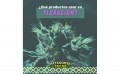 ¿Qué productos usar para Floración?